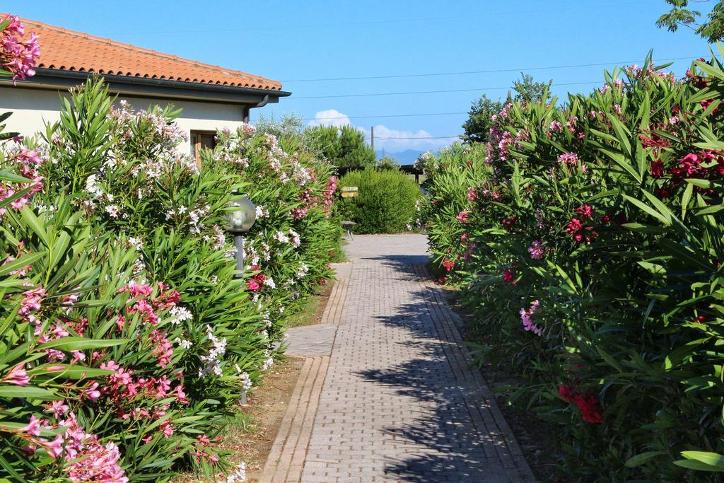 Agriturismo Gli Etruschi Populonia Buitenkant foto