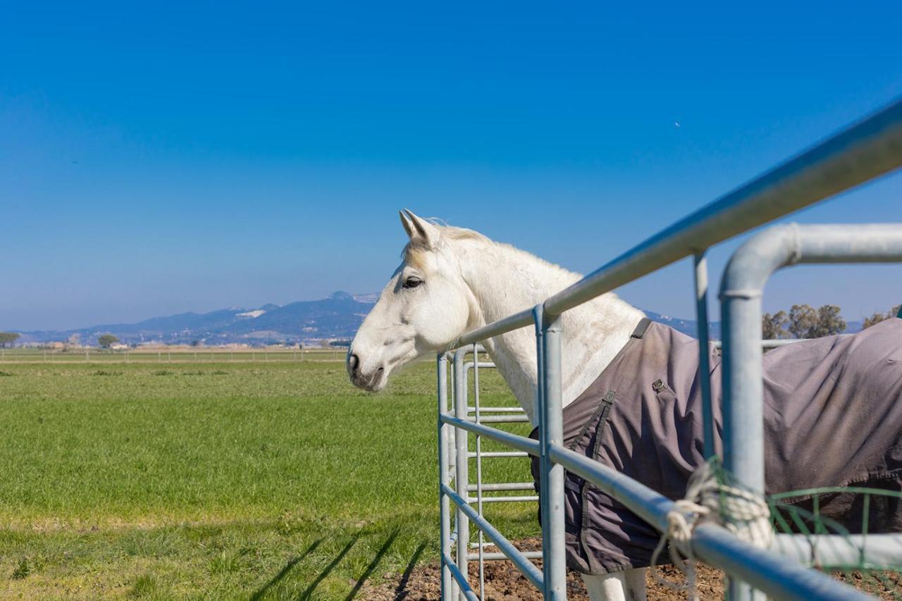 Agriturismo Gli Etruschi Populonia Buitenkant foto