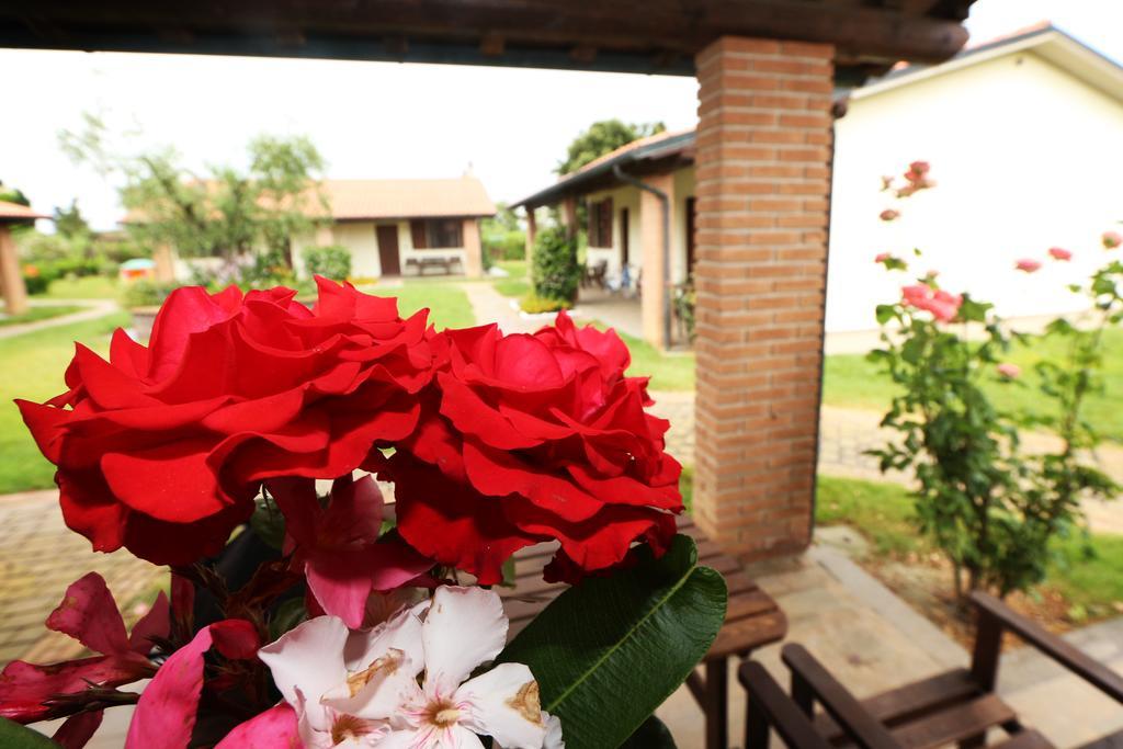 Agriturismo Gli Etruschi Populonia Kamer foto