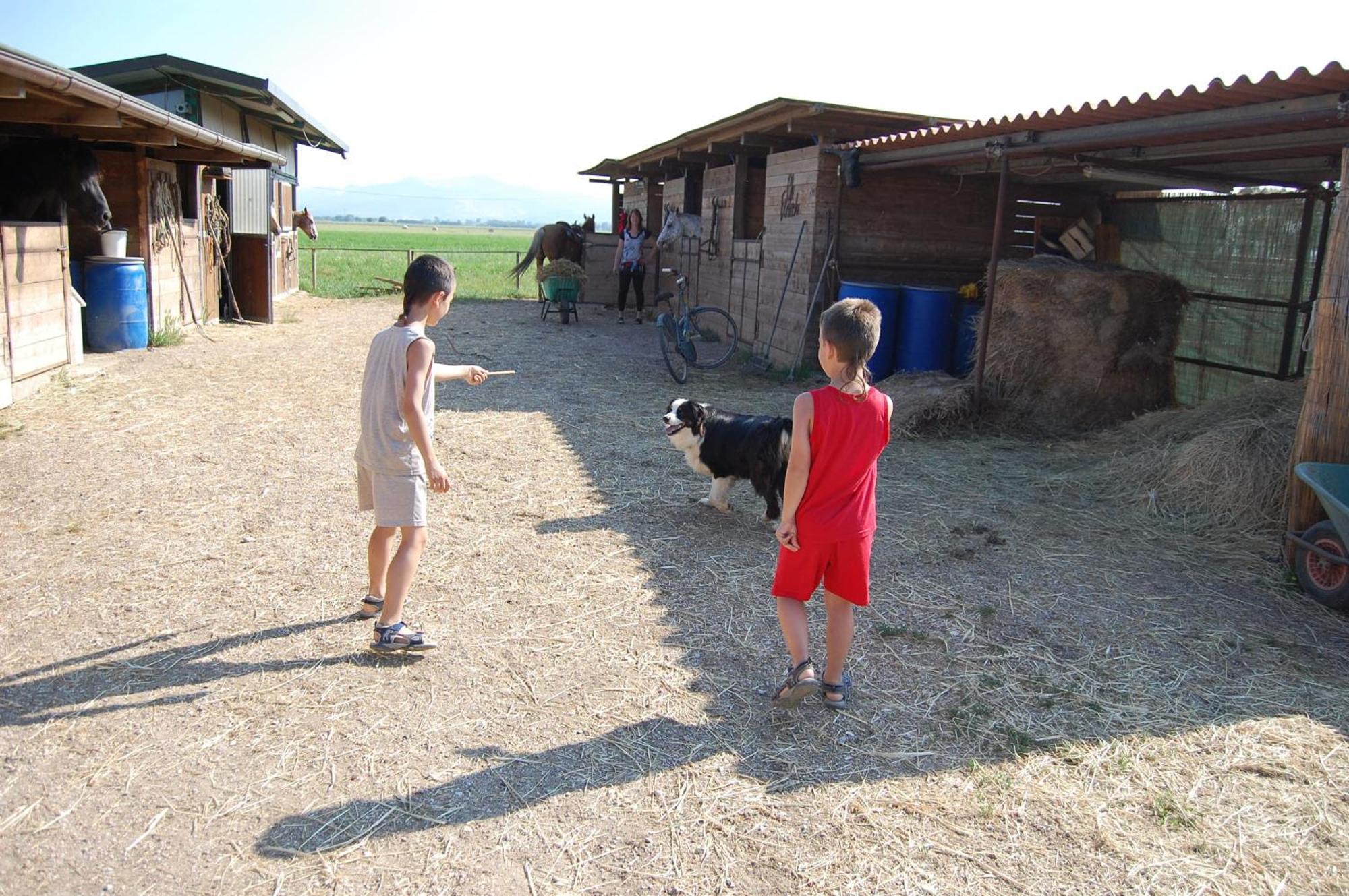 Agriturismo Gli Etruschi Populonia Buitenkant foto
