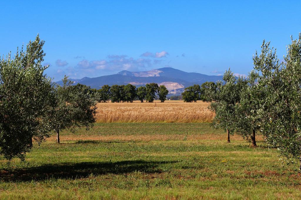 Agriturismo Gli Etruschi Populonia Buitenkant foto